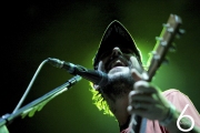 Band of Horses