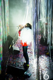The Flaming Lips