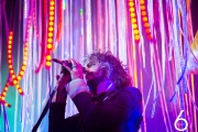 The Flaming Lips